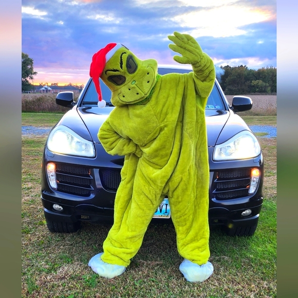 The Grinch Costume - Picture 8 of 12